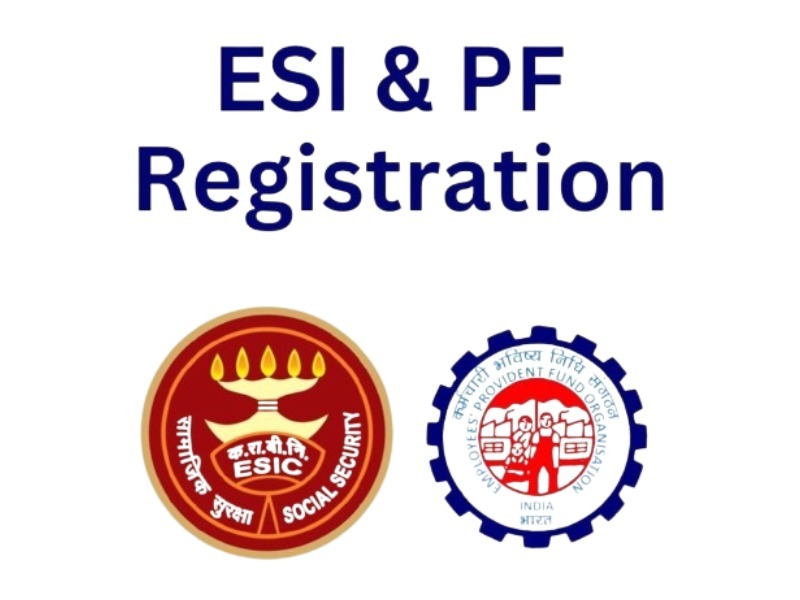 Business Registration Services